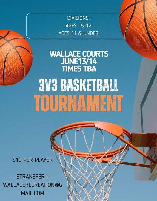 Wallace Courts 3V3 Basketball Tournament June 13/14