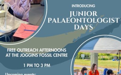 Joggins Fossil Cliffs Junior Palaeontologist Days! July 17, August 14