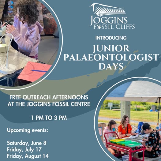 Joggins Fossil Cliffs Junior Palaeontologist Days! July 17, August 14