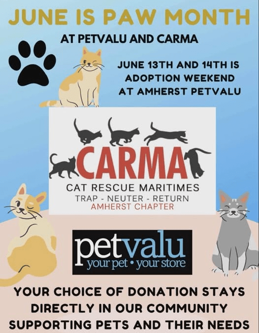 Ca-r-ma Amherst Helping Stray Cats Please Donate to our Fundraiser June 13 and 14th