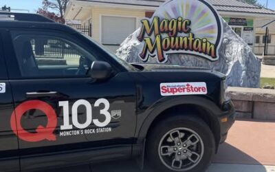 Magic Mountain Opens on June 19th!