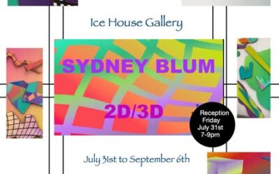 The Ice House Gallery Presents: Sydney Blum July 31 – September 6th in Tatamagouche