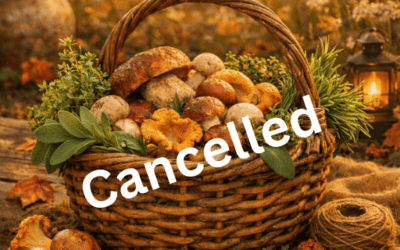 Sweet Grammie B’s Mushroom & Herb Roundtable Sunday, October 4th 1-4 pm – Cancelled.
