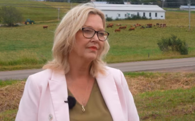 N.S. Independent MLA Elizabeth Smith-McCrossin takes up federal issues, but will she run?