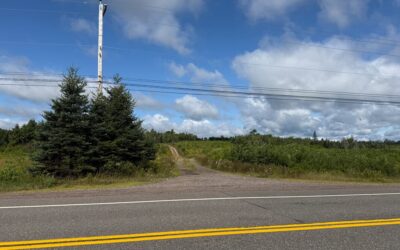 Colchester residents question RCMP communication about human remains