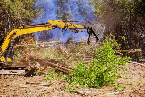 If you have a moment please fill out the form to weigh in on protecting land in NS.