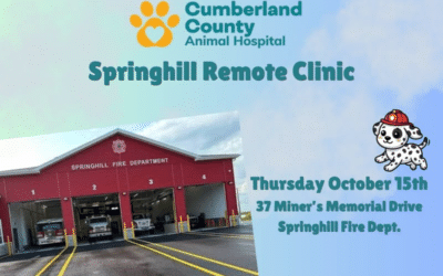 Cumberland County Animal Hospital Springhill Remote Clinic Coming October 15th
