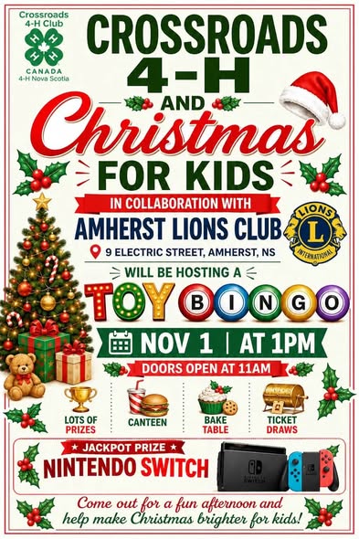 Crossroads 4H and Christmas For Kids in Collaboration with Amherst Lions Club Toy Bingo November 1